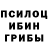 Псилоцибиновые грибы мицелий MaksimovBeloRUS :3