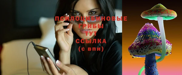 дживик Куйбышев