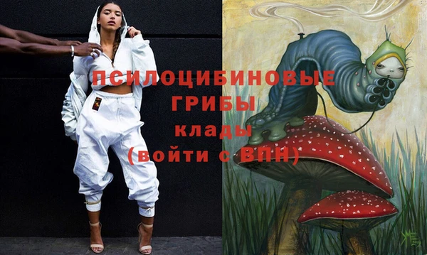 a pvp Кулебаки
