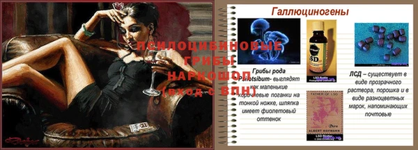 дживик Куйбышев