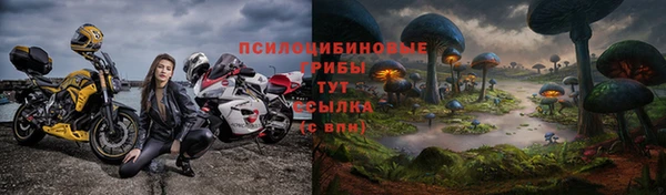 spice Кукмор