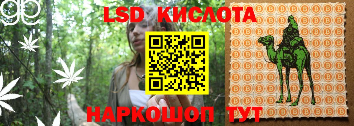 Галлюциногенные грибы Джанкой