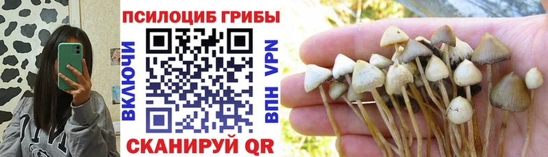 Псилоцибиновые грибы MAGIC MUSHROOMS  Джанкой 