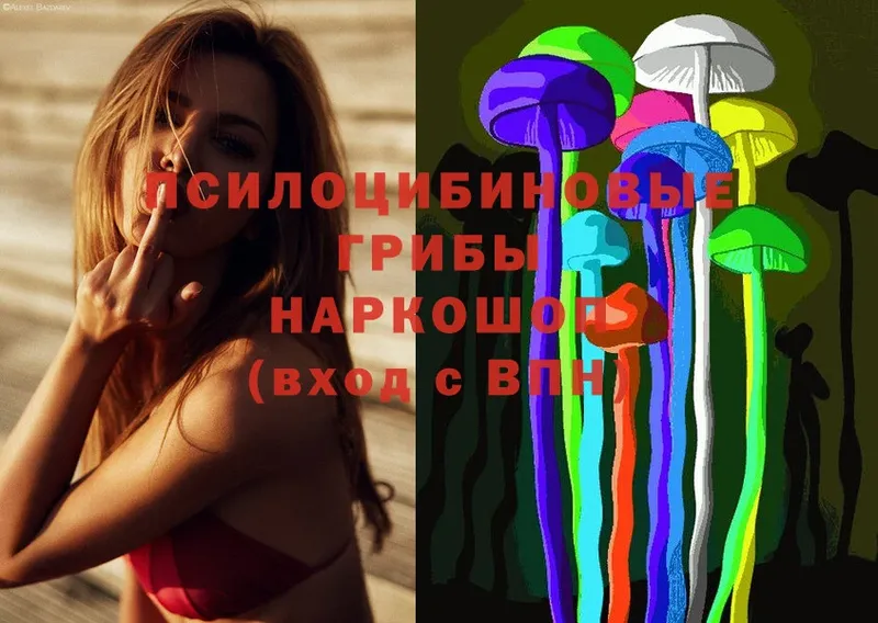 Галлюциногенные грибы MAGIC MUSHROOMS  Джанкой 