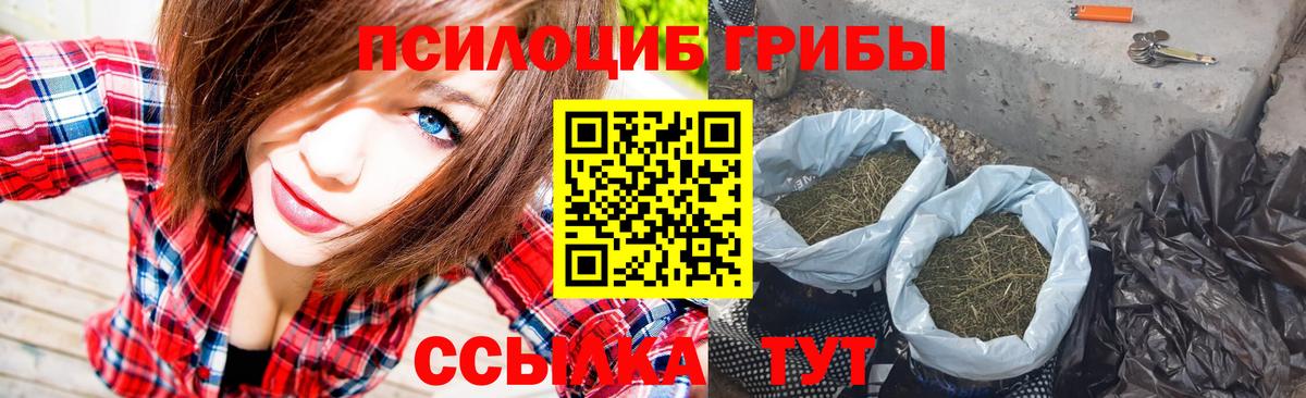 Псилоцибиновые грибы мицелий  Джанкой 